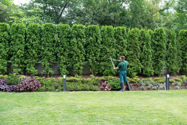 Best Landscape Design and Installation  in Hampton Manor, NY